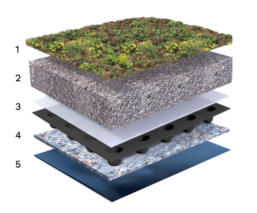 Sedumdak traditioneel — opbouw en doorsnede