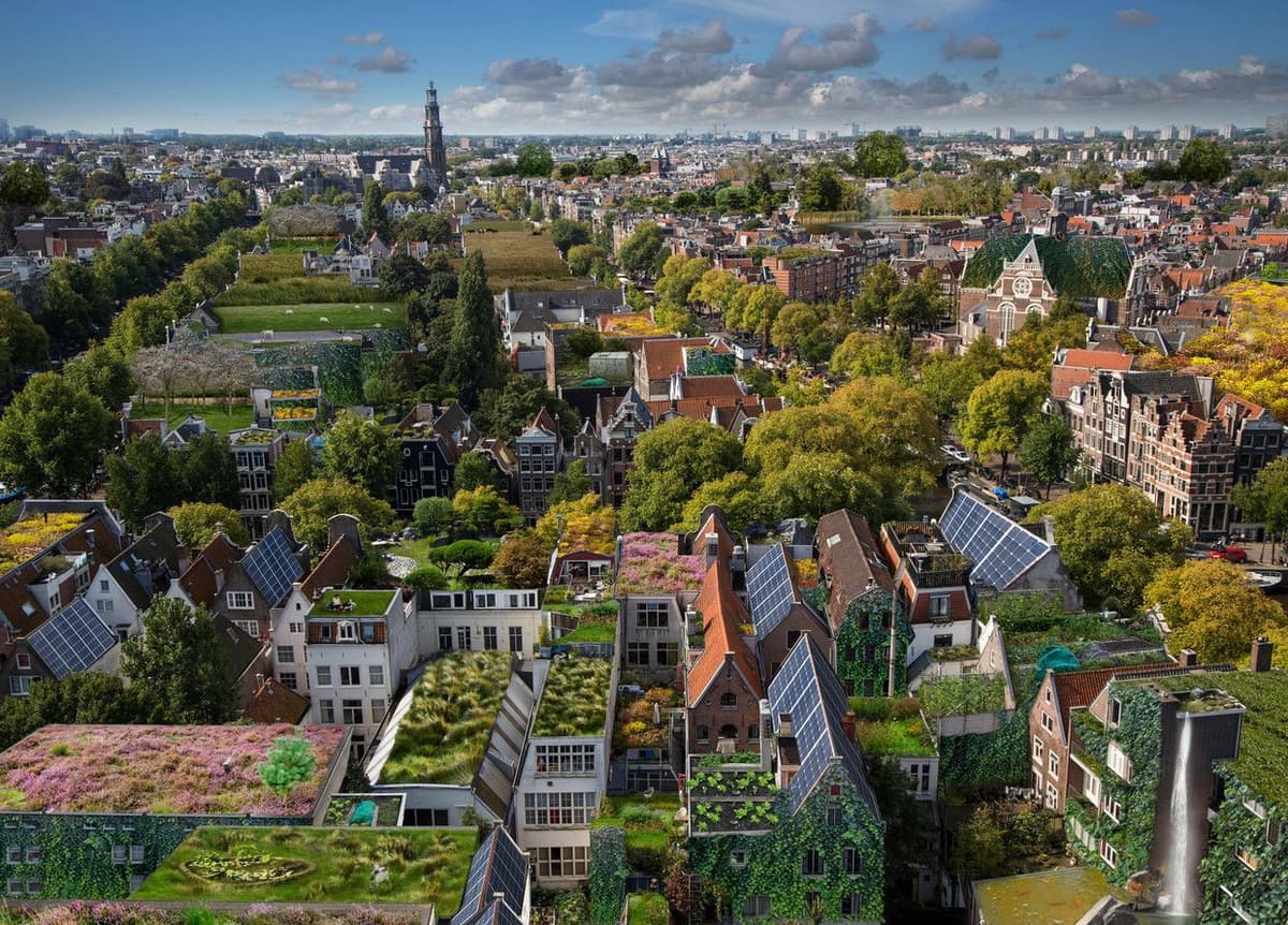 Subsidies beschikbaar voor een groen dak