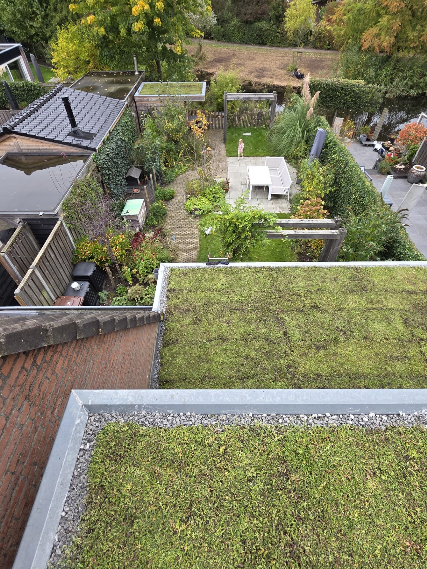 Luchtfoto van groene daken en tuin met sedum