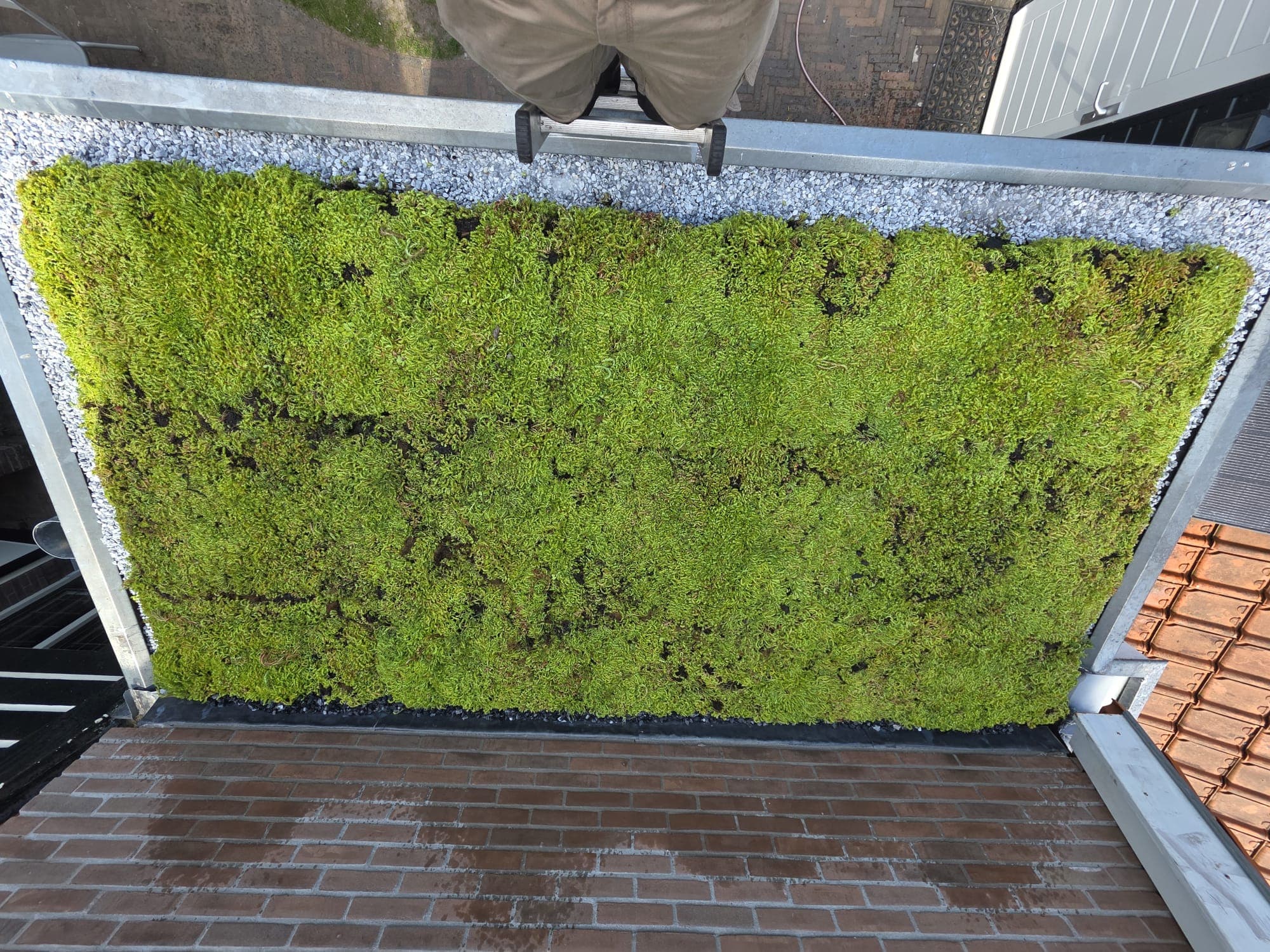 Compact sedumdak met grindafwerking