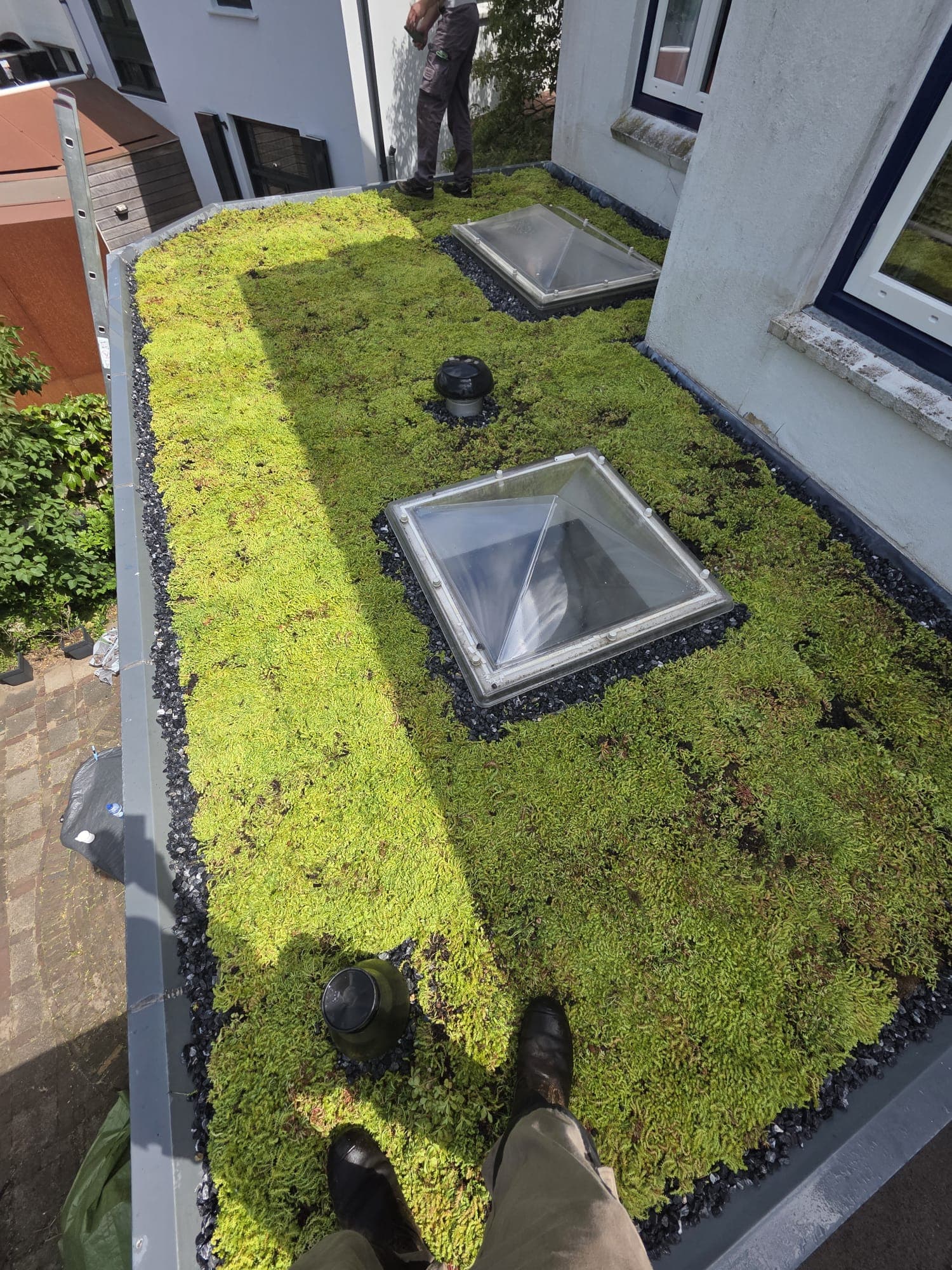 Sedumdak met lichtkoepels op woning